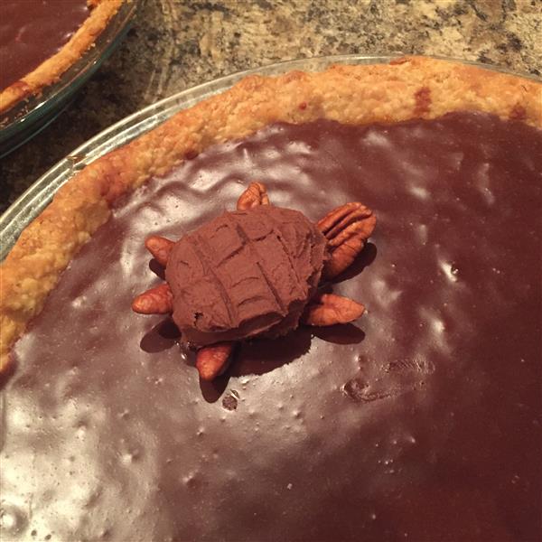 Mud Turtle Pie